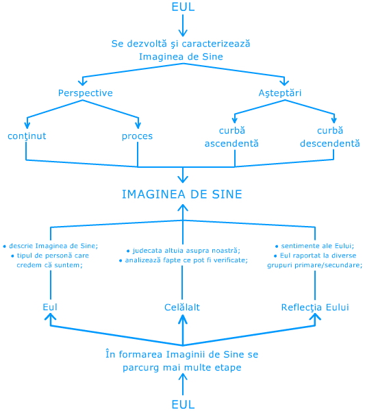 schema eului